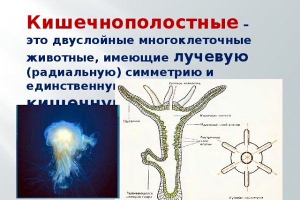 Не приходят деньги на кракен