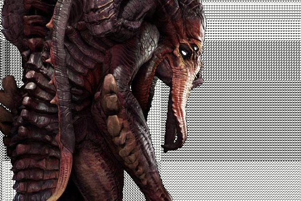 Krakin12 at