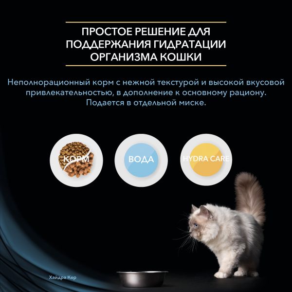Ссылка на кракен даркнет