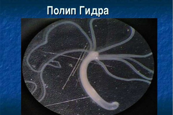 Кракен сайт в тор браузере