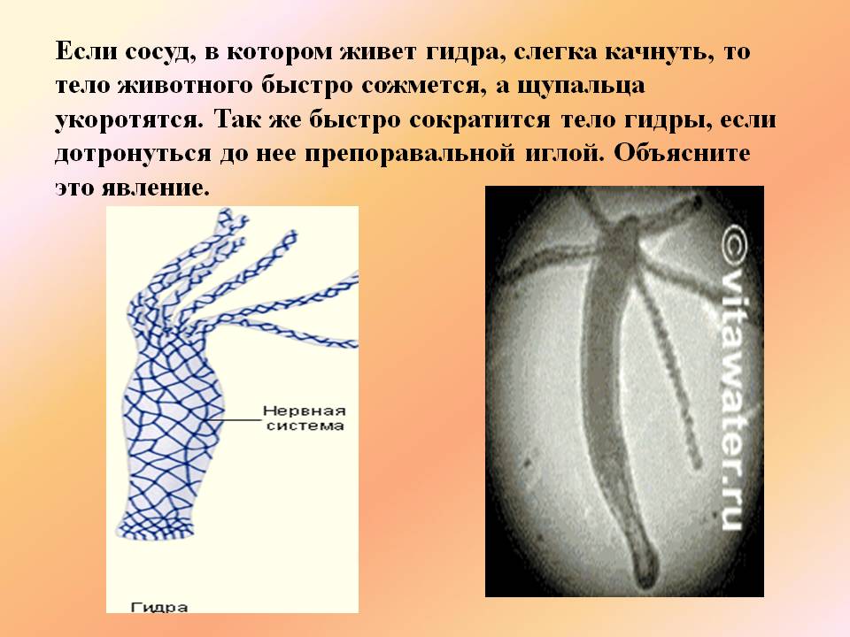 Кракен ссылка рп